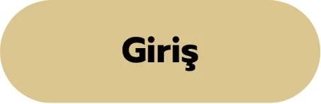 Giriş